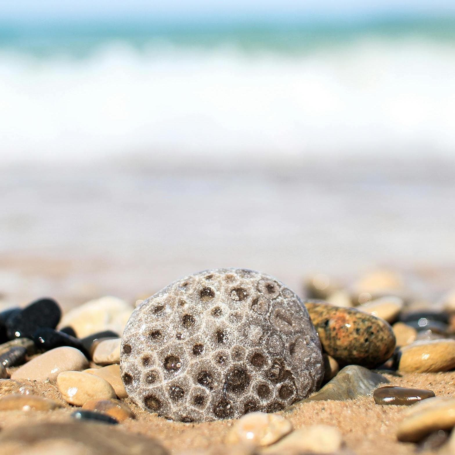 petoskey stone